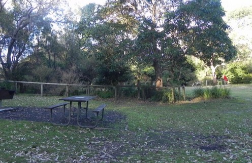 Booderee National Park Cave Beach camping area - Dalby Accommodation