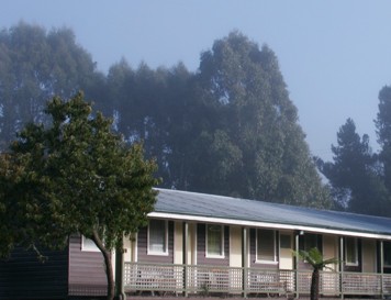 Bondi Forest Lodge - Accommodation Nelson Bay
