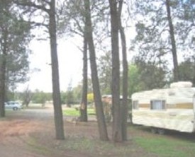 The Kelpie Caravan Park - Lismore Accommodation 0