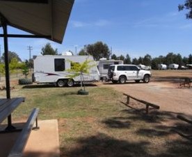 Ariah Park Camping Ground - Dalby Accommodation 2