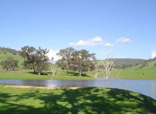 Hillview Farmstay - eAccommodation