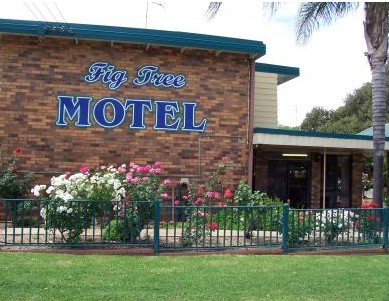 Fig Tree Motel - Carnarvon Accommodation