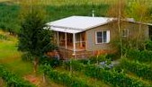 Borrodell Vineyard - Accommodation - Accommodation Sunshine Coast