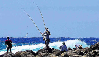 Fraser Island Fishing Units - thumb 3
