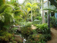 Chamomile Bed and Breakfast - Accommodation Noosa