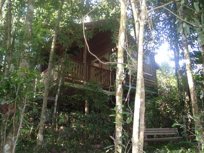 Adjinbilly Rainforest Retreat Cabins