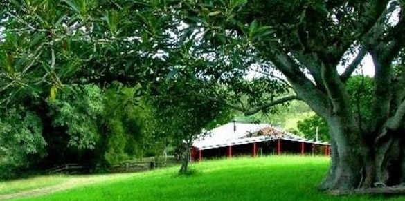 Katandra Mountain Farm House - thumb 5