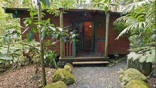 Springbrook Lyrebird Retreat - Accommodation Sunshine Coast