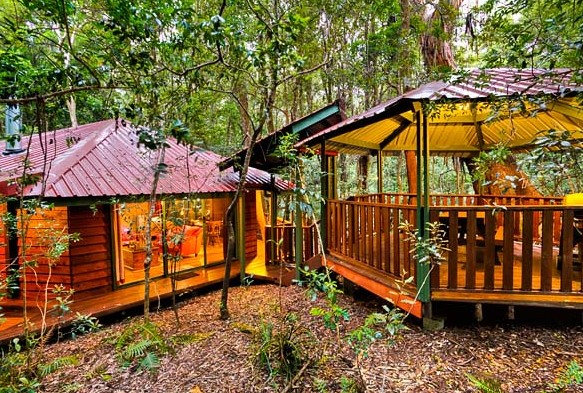 The Mouses House - Rainforest Retreat - thumb 4