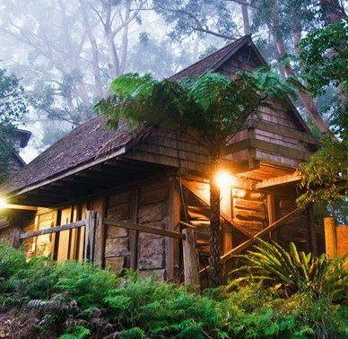 Binna Burra Mountain Lodge - thumb 2