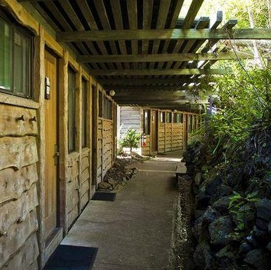 Binna Burra Mountain Lodge - thumb 4