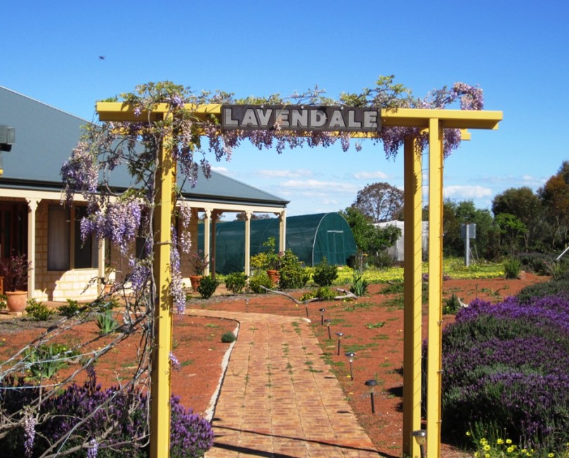Lavendale Farmstay and Cottages - Accommodation Broome