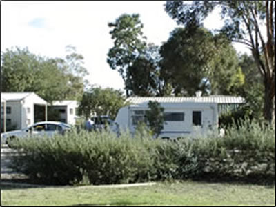 Banksia Tourist Park - Hervey Bay Accommodation 3