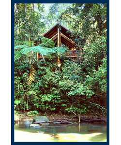 The Canopy Treehouses - Grafton Accommodation 1
