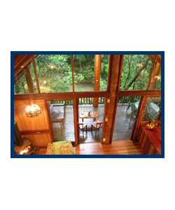 The Canopy Treehouses - Accommodation Gladstone 4