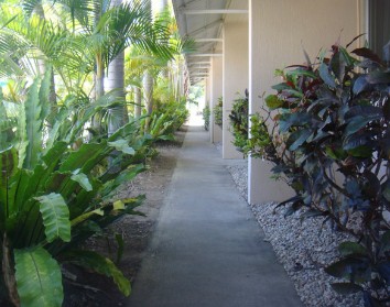 Palm Waters Holiday Villas - St Kilda Accommodation 2