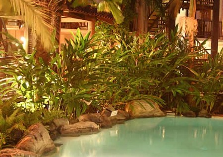 Hibiscus Gardens Spa Resort - Grafton Accommodation 3