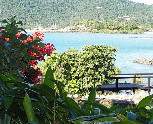Airlie Waterfront Bed And Breakfast - Accommodation QLD 1
