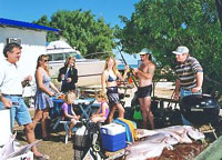 Shark Bay Cottages - Coogee Beach Accommodation