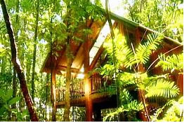 The Canopy Treehouses - Accommodation NT