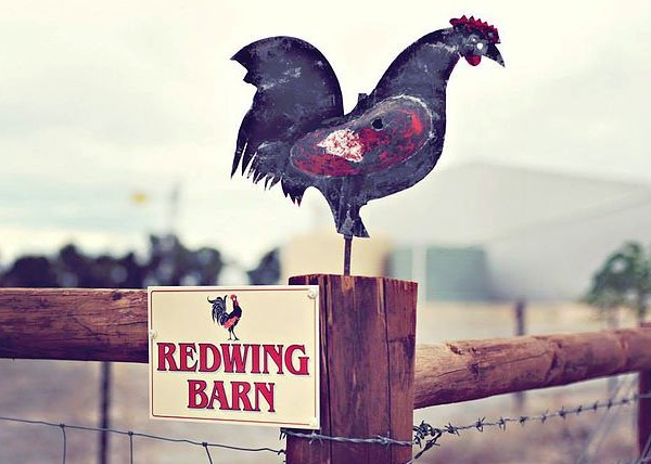 Redwing Farm - The Barn - Lismore Accommodation 0