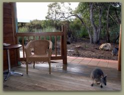 Kangaroo Island Wilderness Resort - Kempsey Accommodation 1