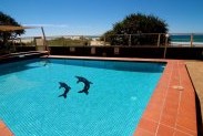 President Holiday Apartments - Accommodation QLD 3