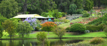 Lavender and Berry Farm - Accommodation Kalgoorlie