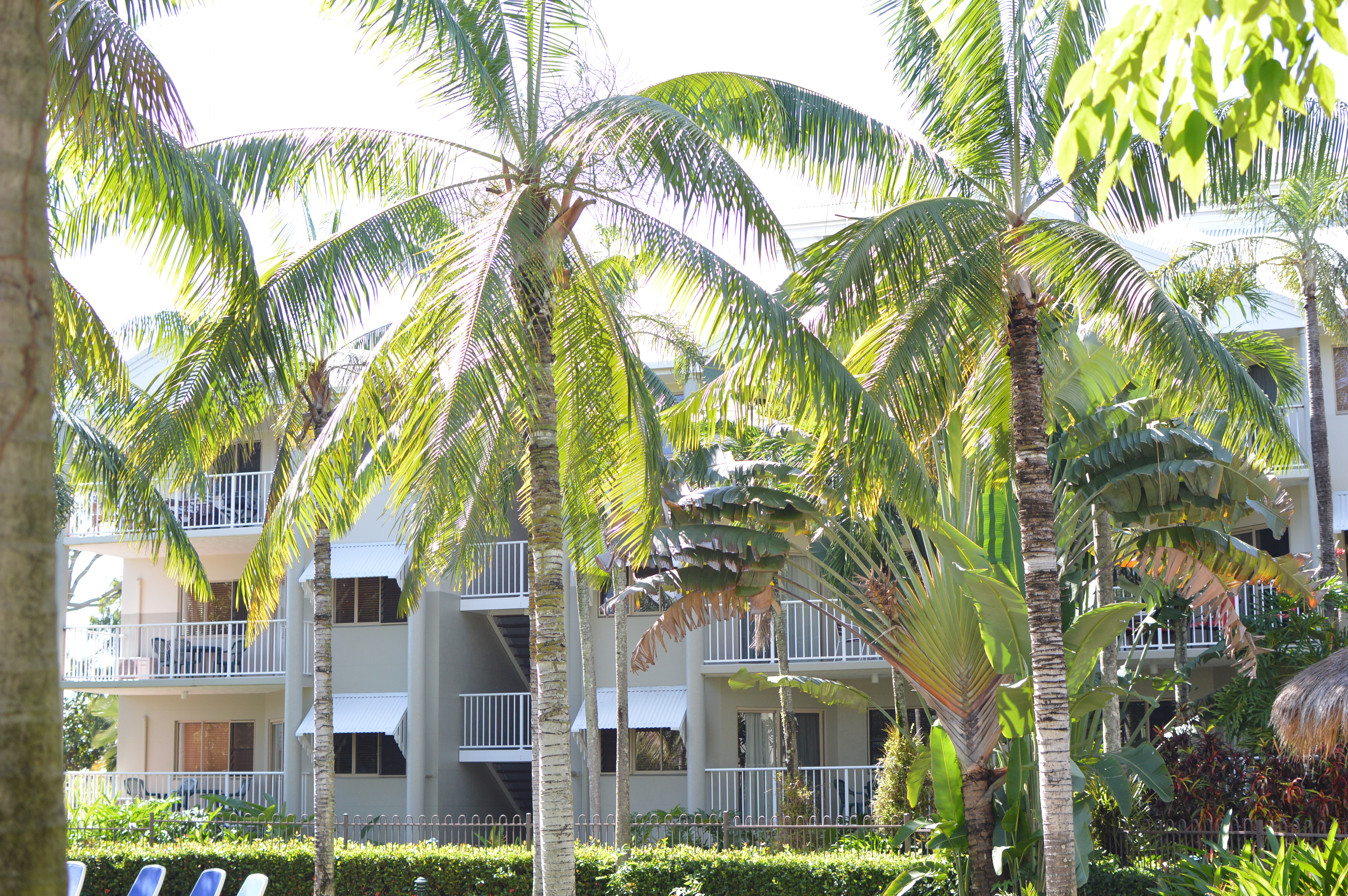 Cairns Beach Resort - Accommodation Yamba 1