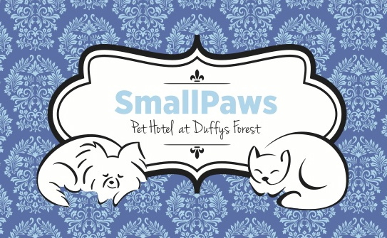 SmallPaws Pet Hotel - Accommodation in Surfers Paradise