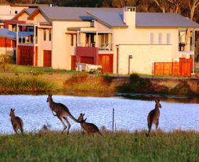 Grand Mercure The Vintage Hunter Valley - Kempsey Accommodation