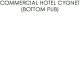 Commercial Hotel Cygnet (Bottom Pub) - thumb 0
