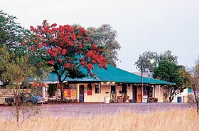 Wauchope Hotel and Roadhouse - Carnarvon Accommodation