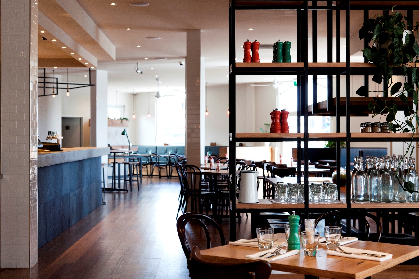 Plough Hotel - Coogee Beach Accommodation