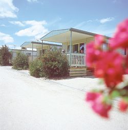 Eldorado Tourist Park - Accommodation Kalgoorlie
