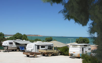 Blue Dolphin Caravan Park and Holiday Village - Coogee Beach Accommodation