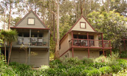 Great Ocean Road Cottages - thumb 1
