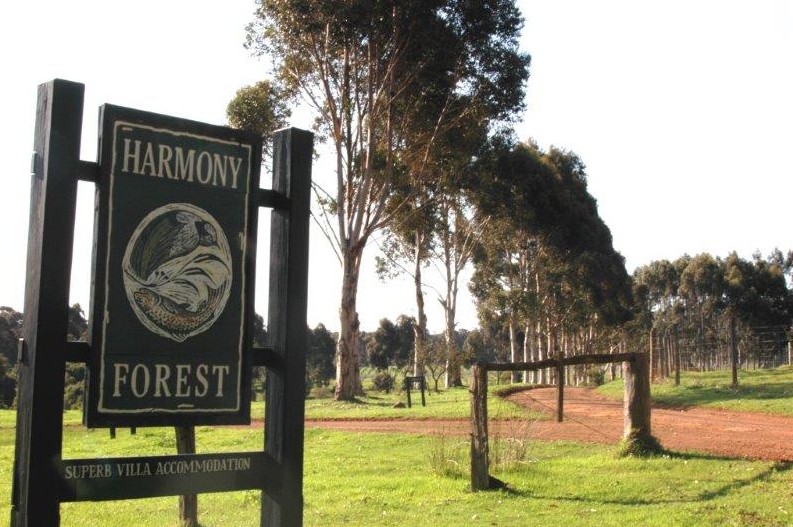 Harmony Forest - Accommodation Broome