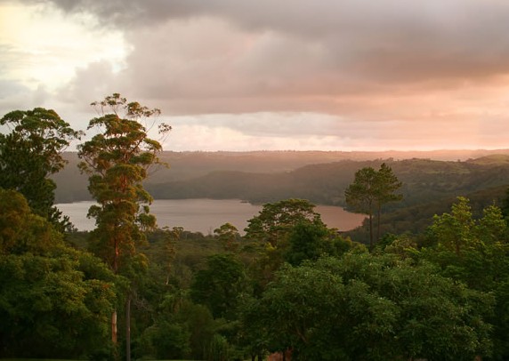 Montville Misty View Cabins - Accommodation Nelson Bay