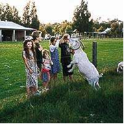Taunton Farm Holiday Park - Accommodation Australia