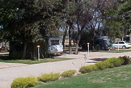 Paringa Caravan Park - Dalby Accommodation