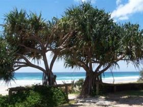 Pacific Surf Absolute Beachfront Apartments - Kingaroy Accommodation