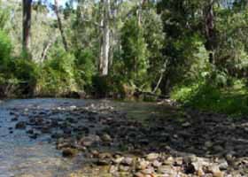 River Rest Country Cottage - Accommodation Burleigh 0