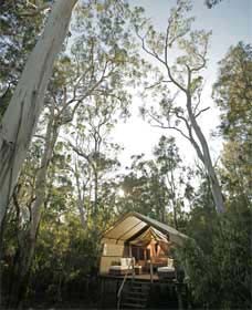 Paperbark Camp - thumb 0