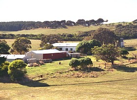 Sun Valley Eco Farm - Accommodation Sydney
