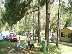 Glasshouse Mountains Holiday Village - Accommodation in Brisbane
