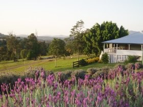 Blue Ridge Lavender Farm And Retreat - thumb 0