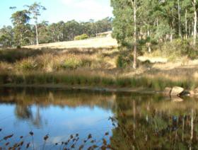Kiah Nunyara Accommodation - Accommodation Cooktown
