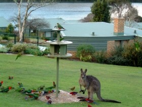Gipsy Point Lakeside - Accommodation Australia