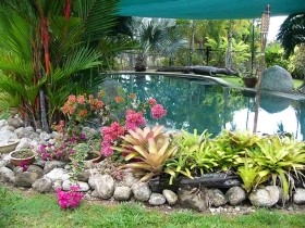 Daintree Wild Bed And Breakfast - Tourism Caloundra